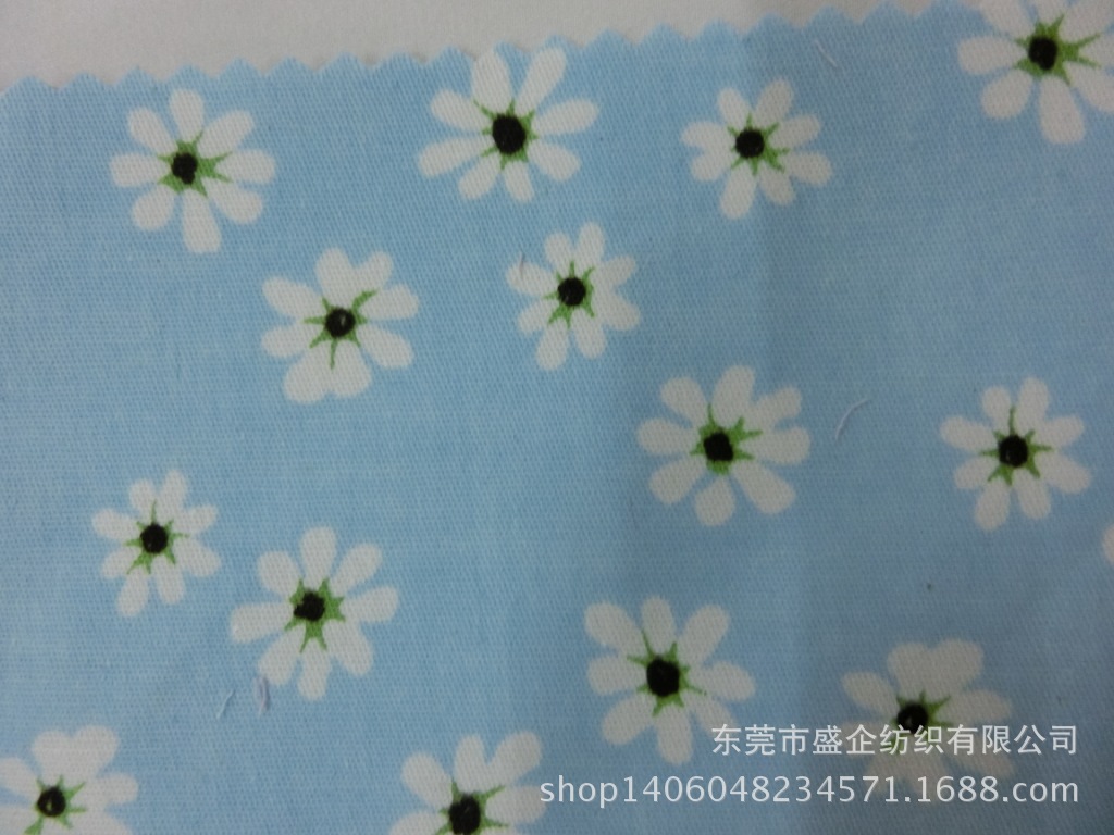 CIMG4552