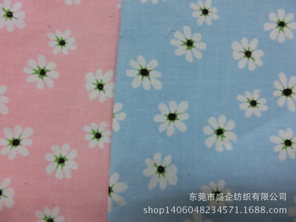CIMG4562