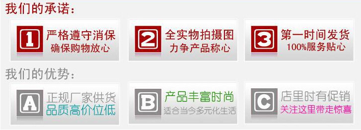 我們的承諾