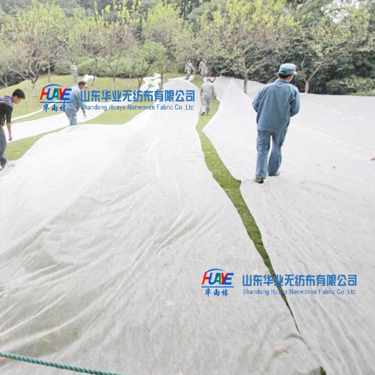 公司介紹