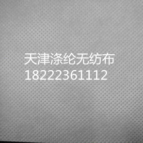 滌綸無紡布
