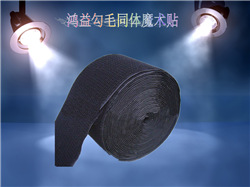 圖片15